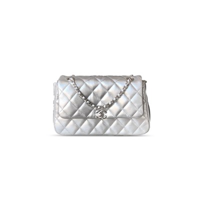 CHANEL CLUTCH WITH CHAIN 1635749 (22.5*14*5.8cm)